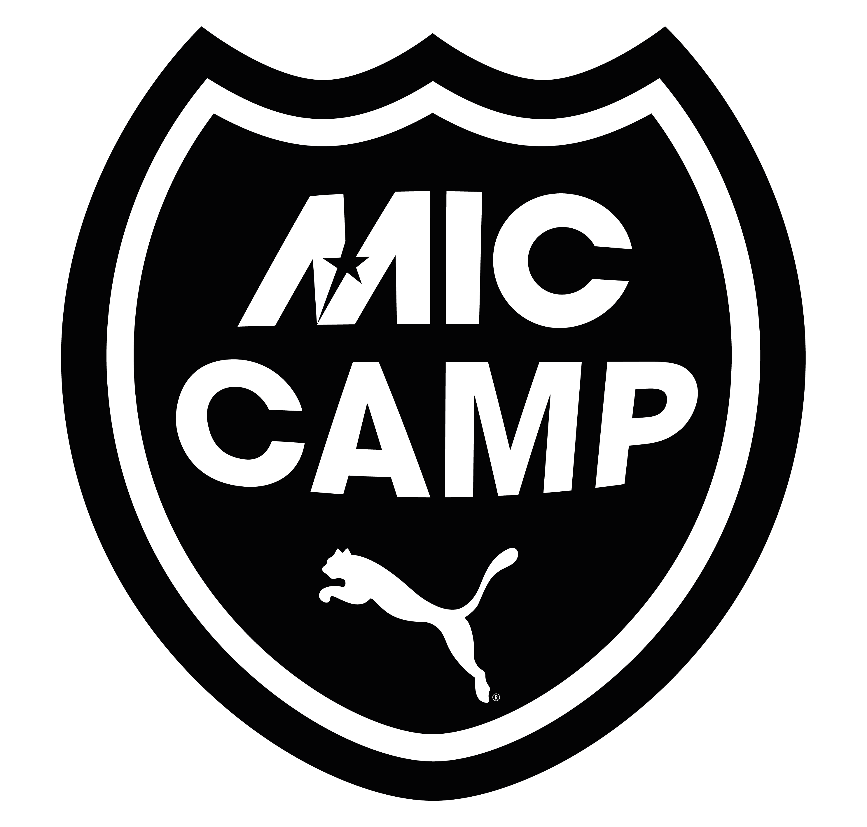 MicroSite Logo
